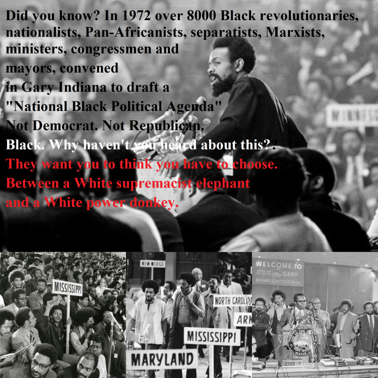 Black political agenda