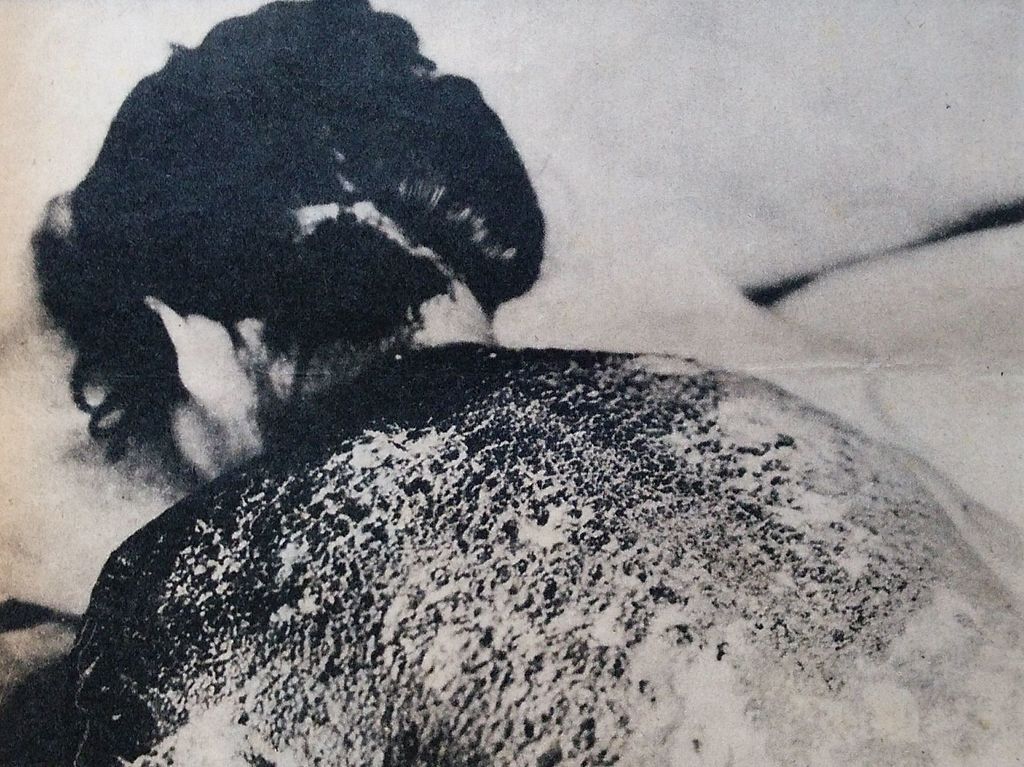 American damnation 7